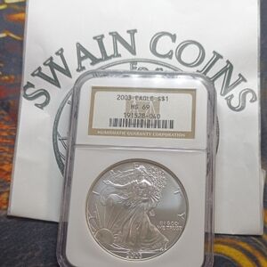 2003 Silver Eagle Coin
